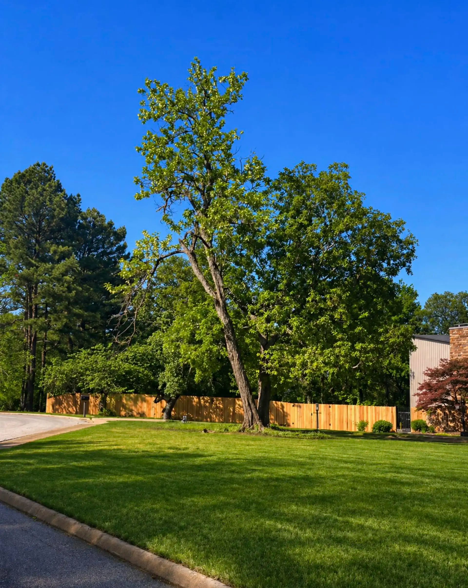 Traditional cedar fence around an older home with professional landscaping, featuring an ornamental metal gate.